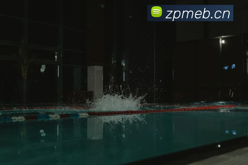 九游网页版入口登录品牌故事